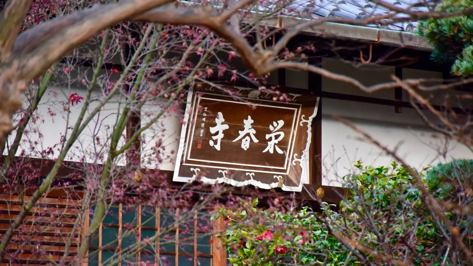 京都永代供養墓・納骨堂霊園 栄春寺