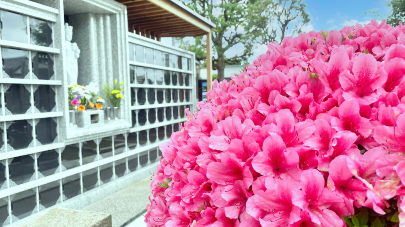 谷中永代供養・樹木葬霊園 観音寺