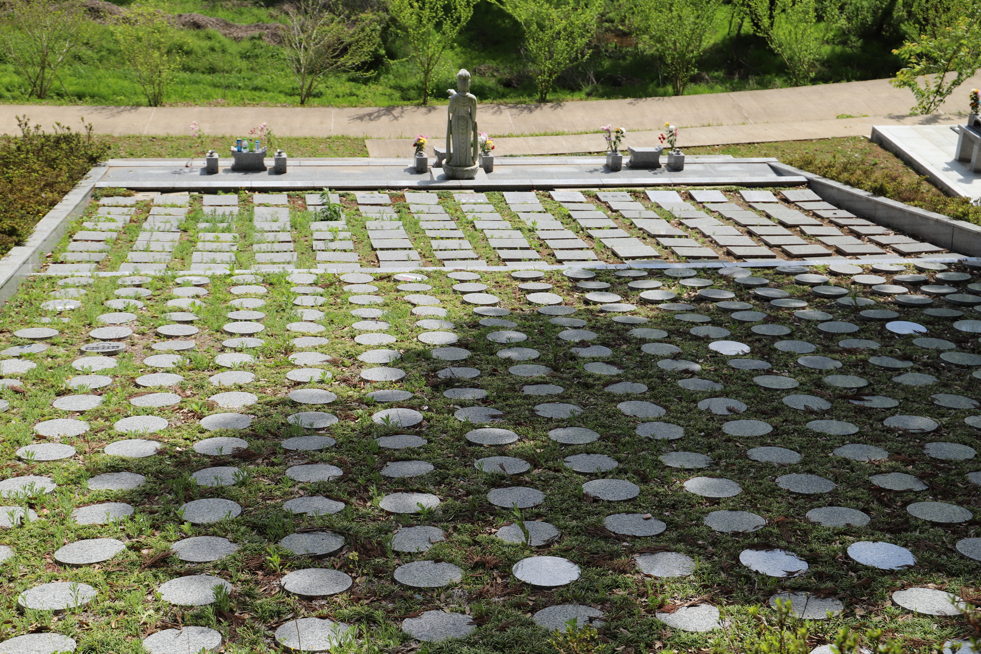 樹木葬型の合祀墓