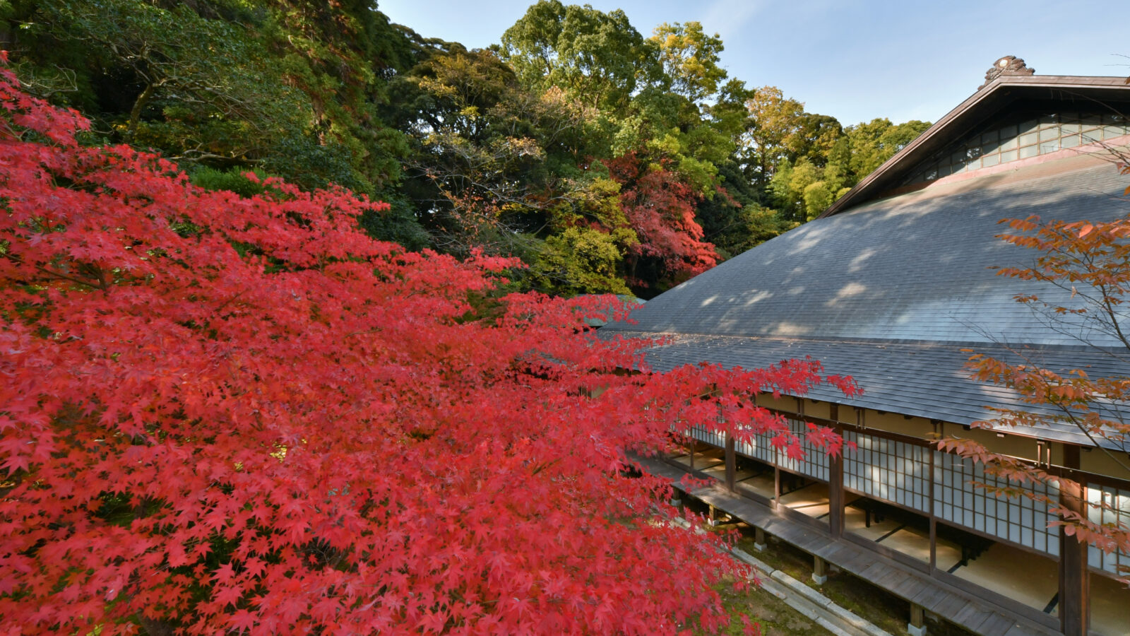 津市永代供養墓霊園　四天王寺