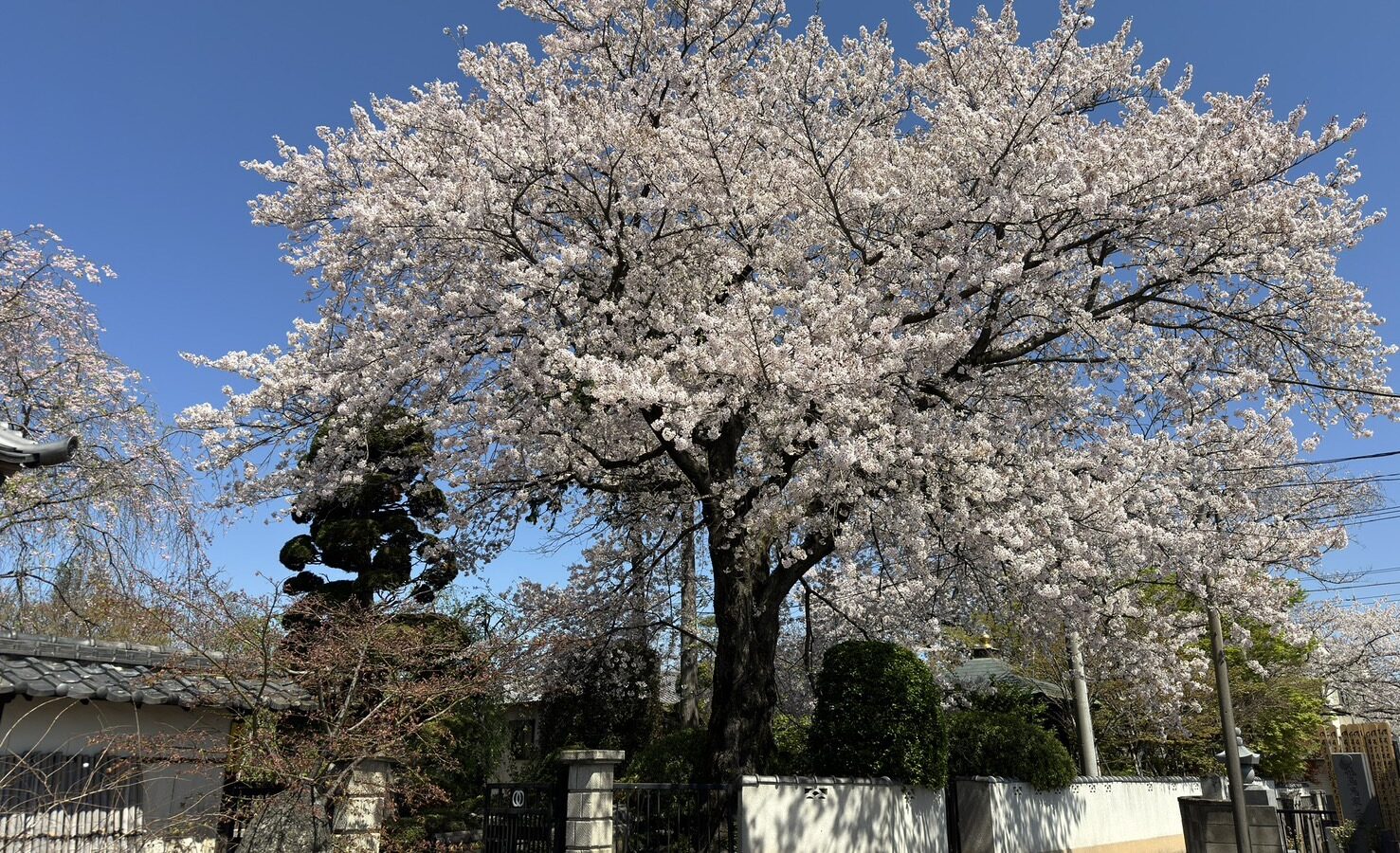 春日部永代供養墓霊園 東光院