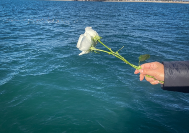 墓じまいしたあとに散骨はできる