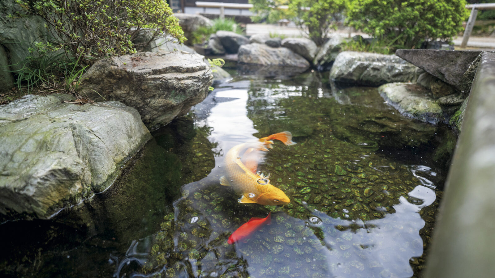 上尾永代供養墓霊園 昌福寺