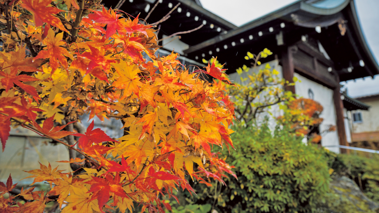 山形浄園 明善寺