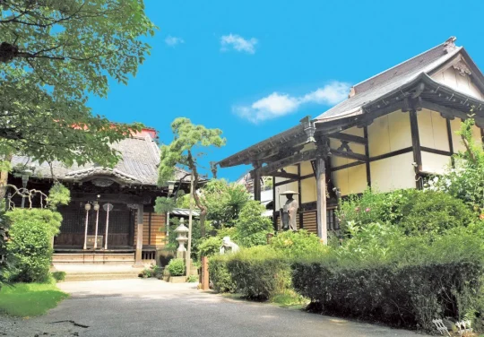 松戸永代供養墓霊園 善照寺