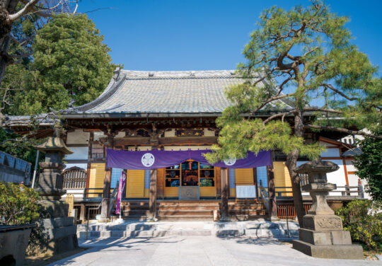 小石川霊園 善光寺