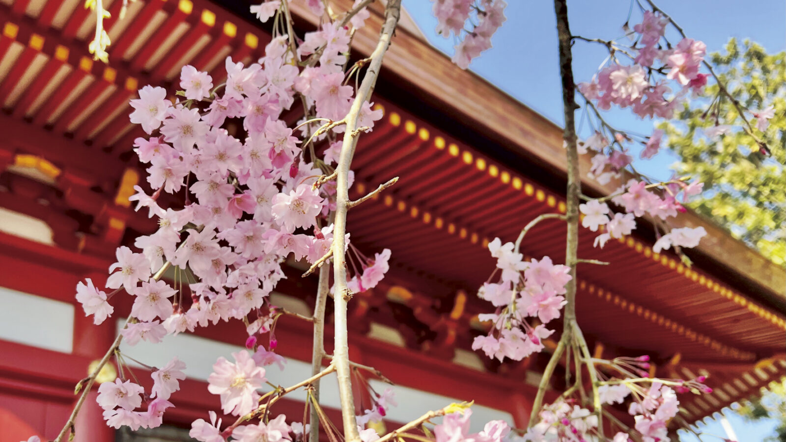 柏永代供養墓霊園 吉祥院