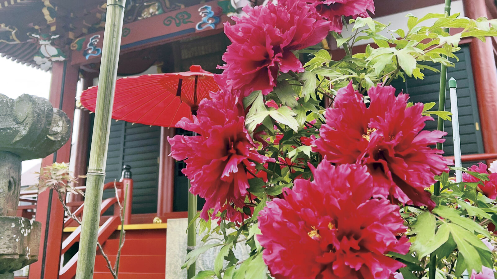 柏永代供養墓霊園 吉祥院