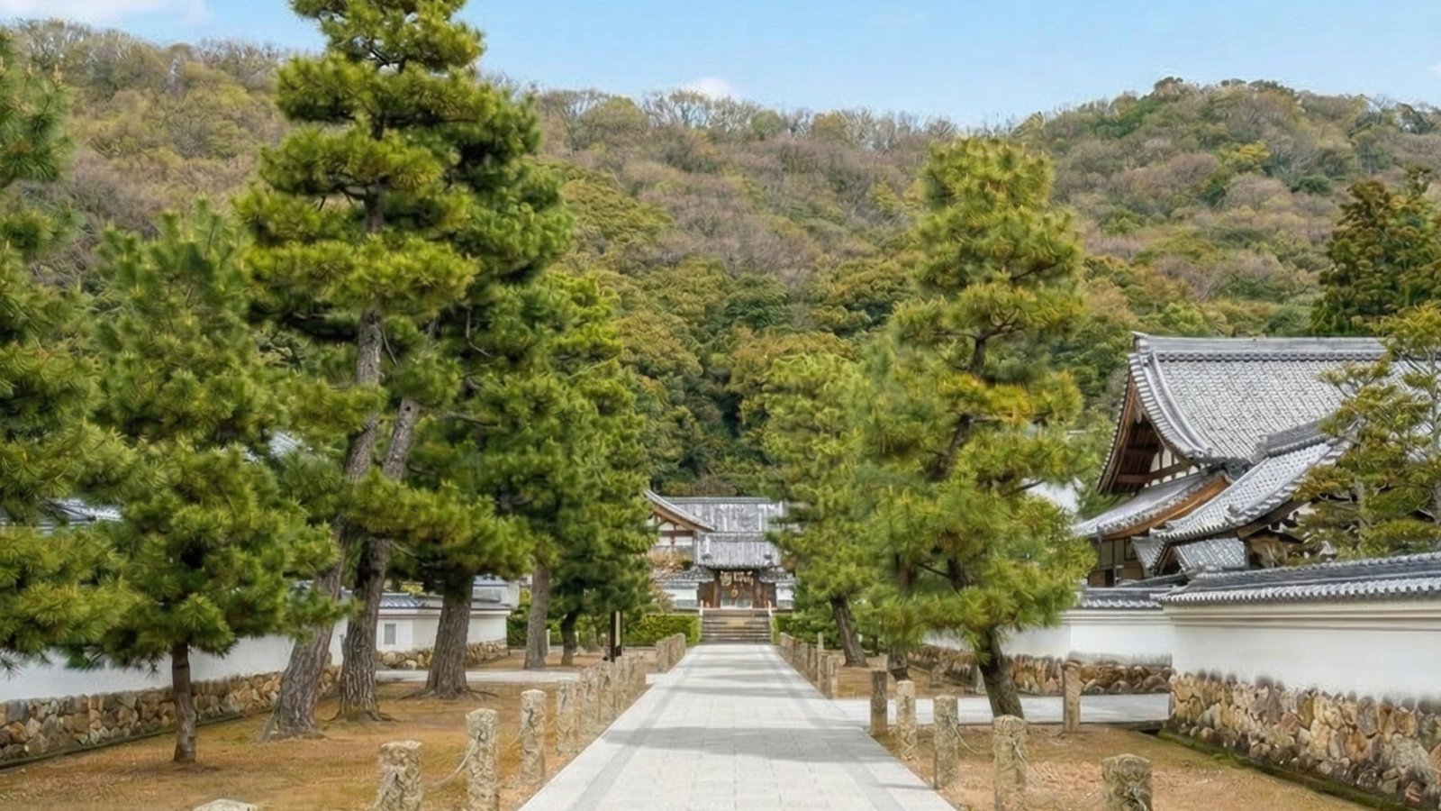 岐阜霊園 天澤院