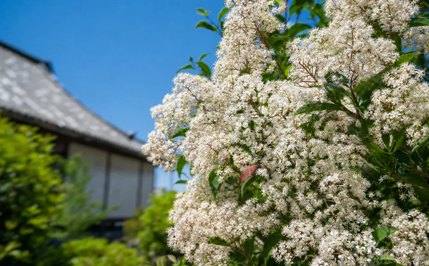 奈良霊園 蓮長寺