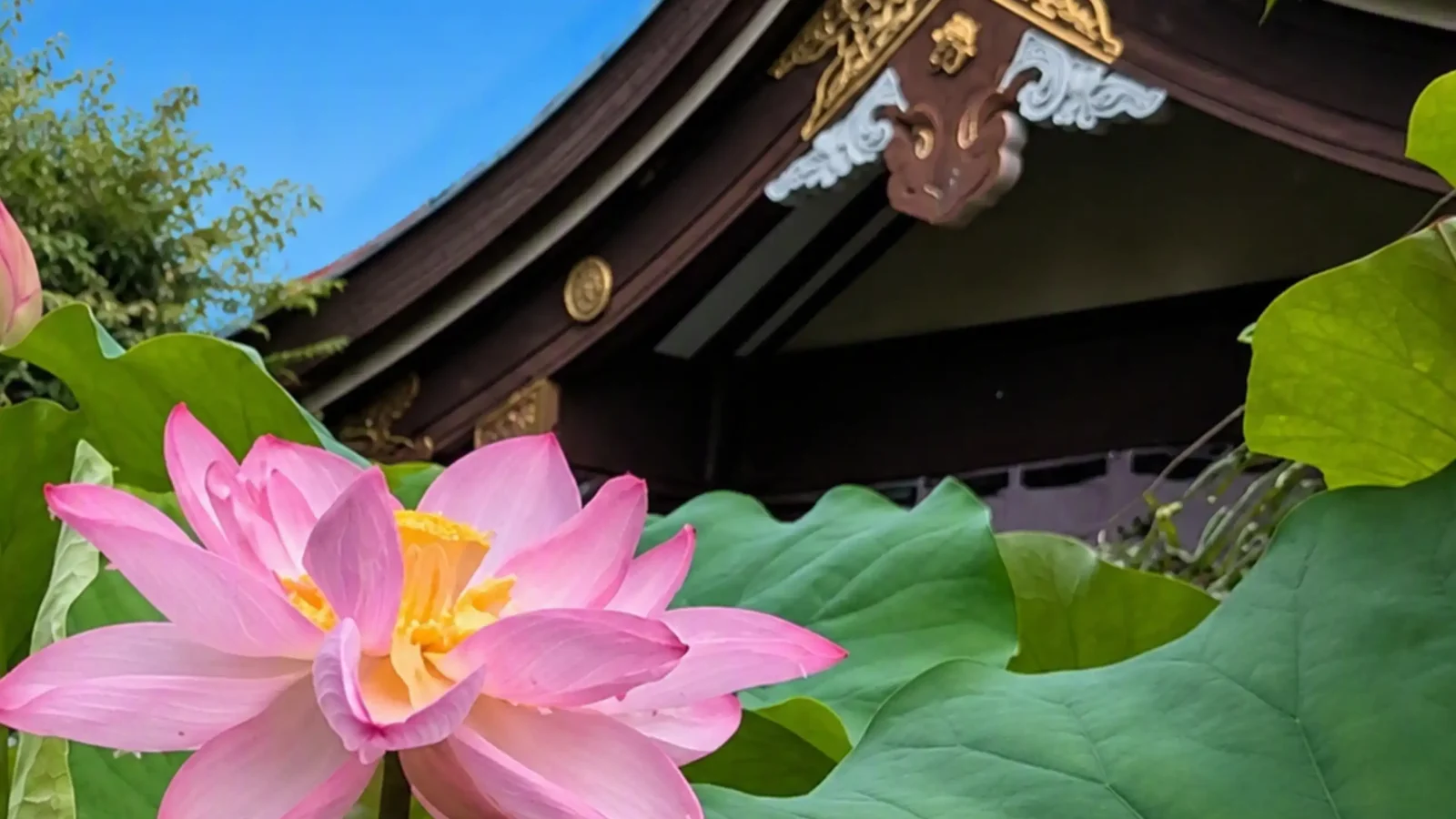 八王子永代供養墓霊園 福傳寺